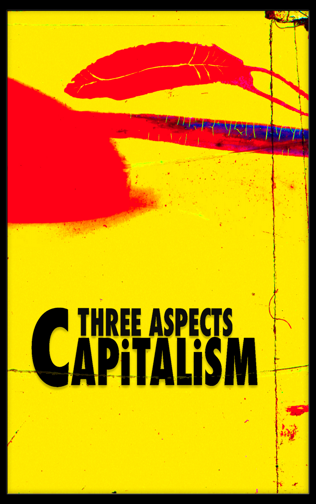 CAPITALISM in three Aspect Ratios